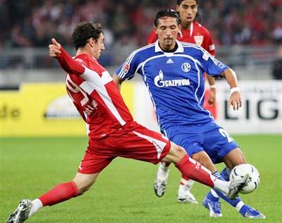 更是整个自 更是整个自